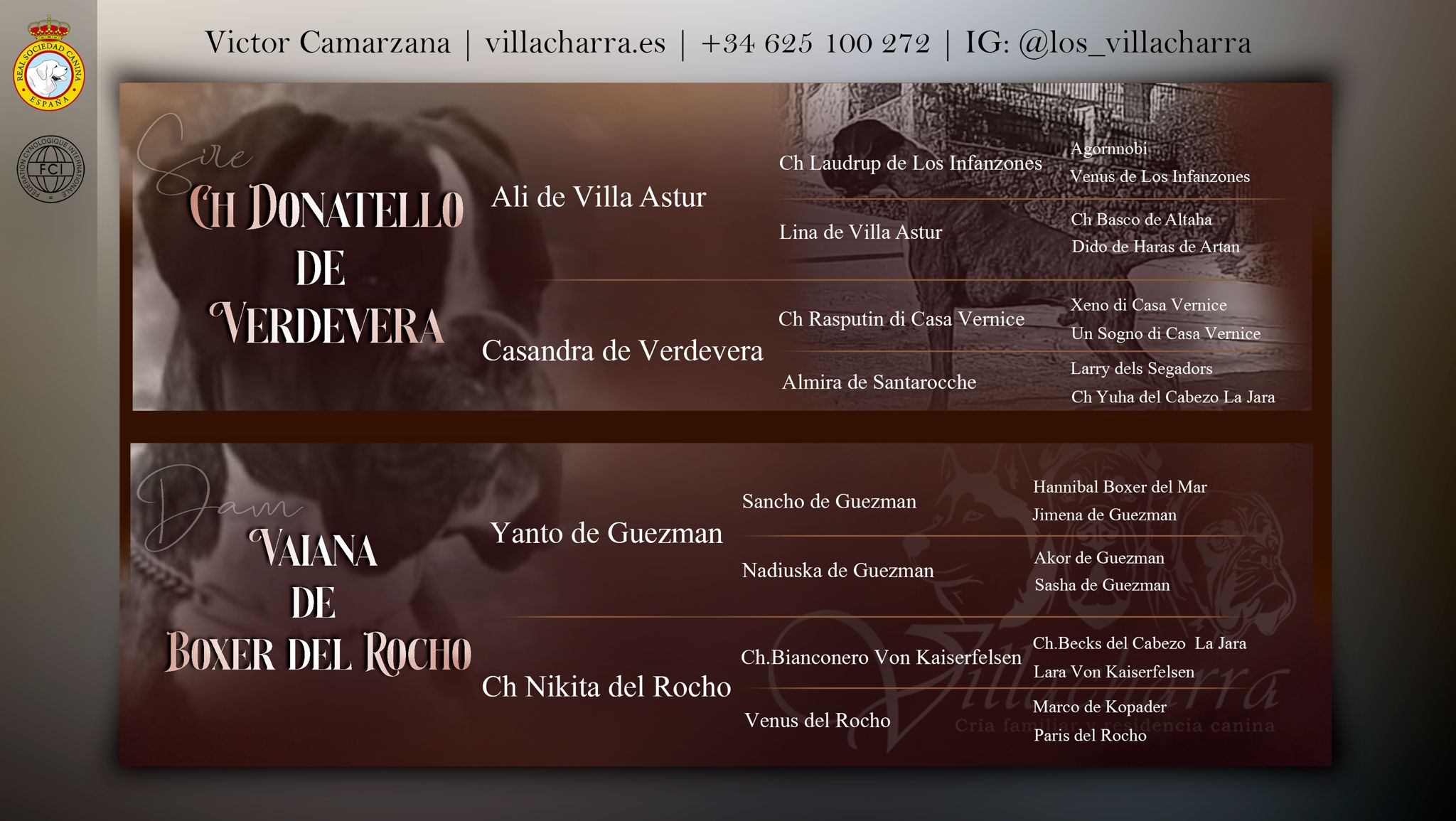 Cartel próxima camada Boxer Villacharra